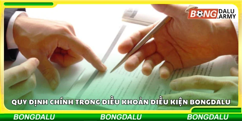 Miễn trừ trách nhiệm gồm những điều khoản nào?