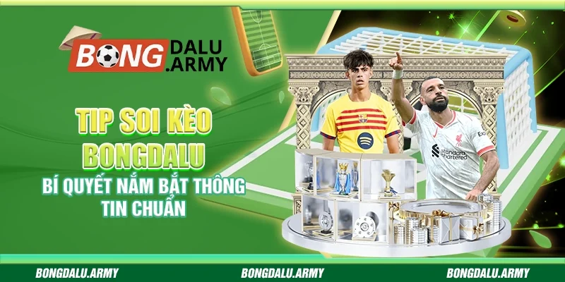 Tip soi kèo Bongdalu - Bí quyết nắm bắt thông tin chuẩn